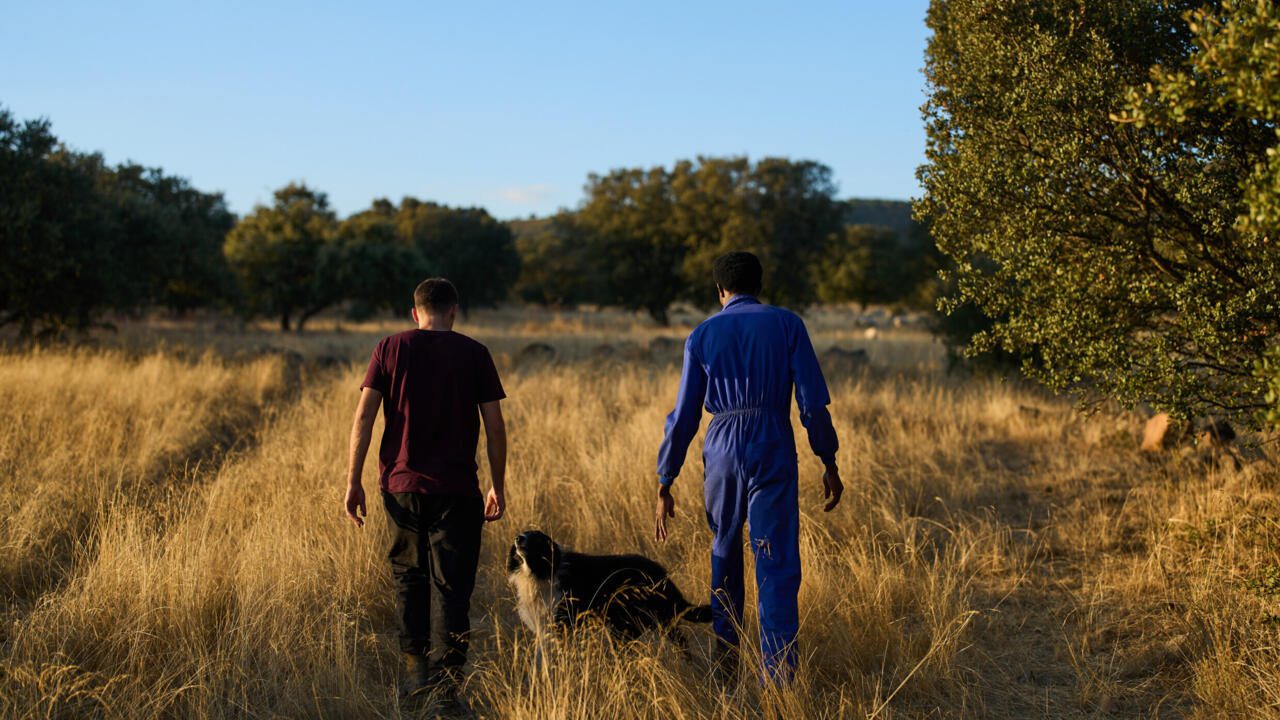 Pourquoi l&rsquo;Espagne régularise 500 000 migrants sans papiers