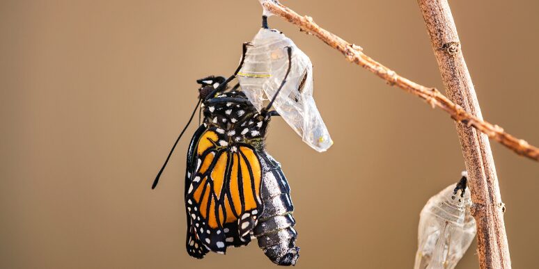Lancement du livre blanc Conseil IA à la maison HEC Paris Alumni