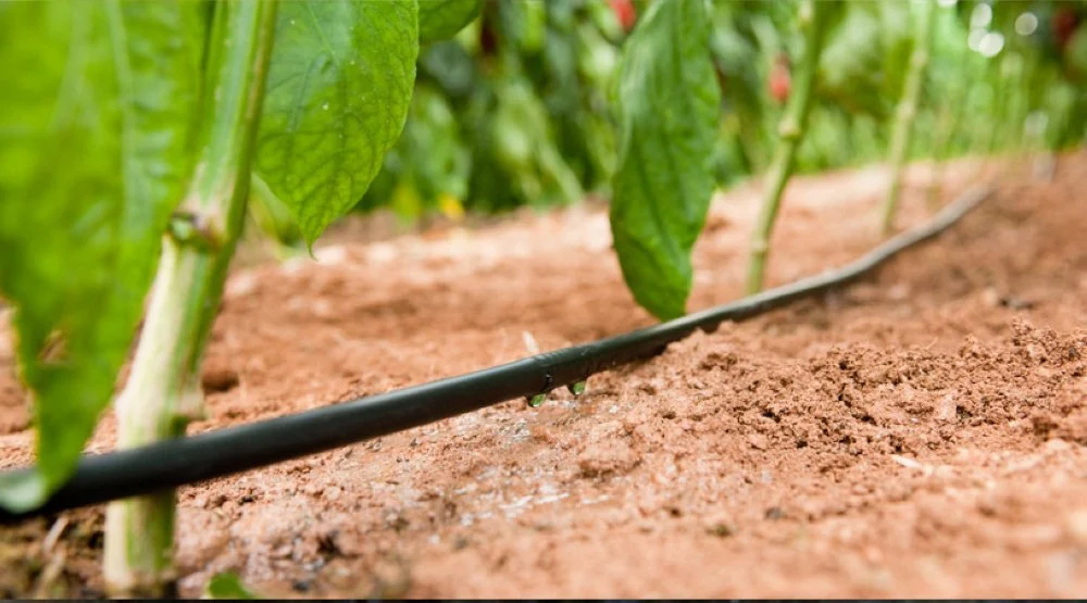 Bourse : CMGP Group pourrait prendre deux ans d’avance sur son business plan