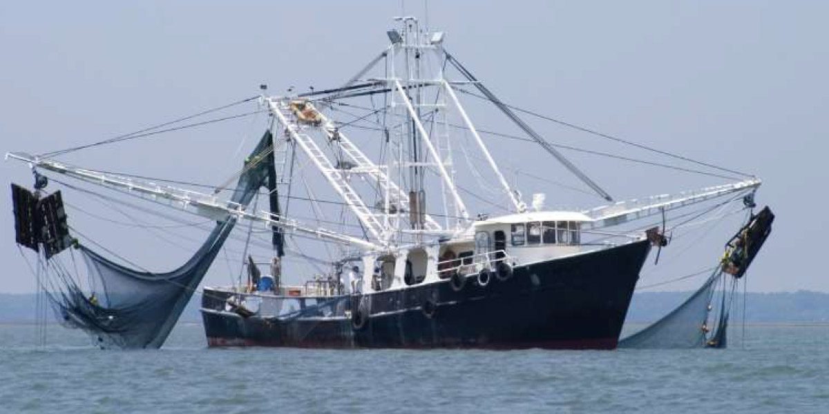 Petits pélagiques : dans l’Atlantique Sud, 75 navires pour sécuriser l’approvisionnement national