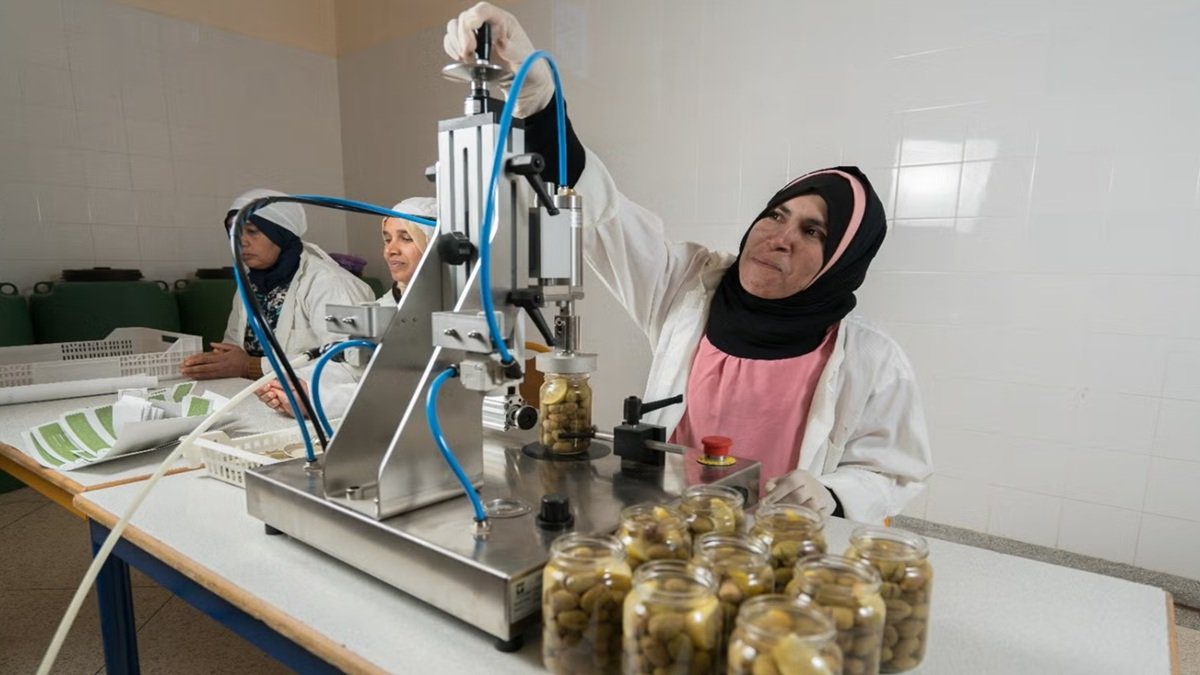 l&rsquo;expérience marocaine mise en exergue en Egypte