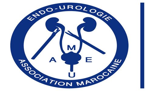 Tanger accueille le 14e Congrès international et débats nouveaux en urologie du 5 au 7 février