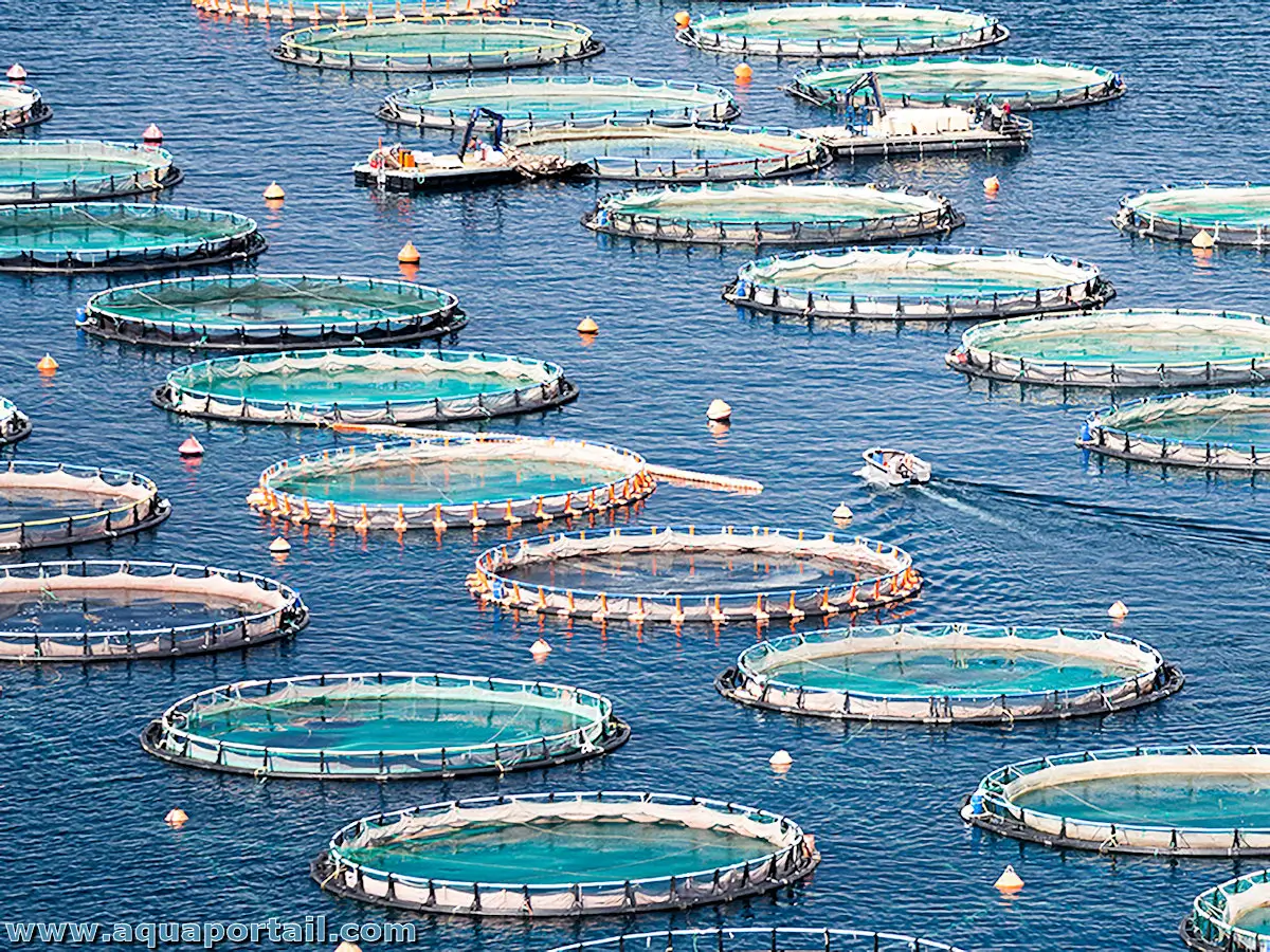 Aquaculture continentale : des projets structurants pour dynamiser le développement local