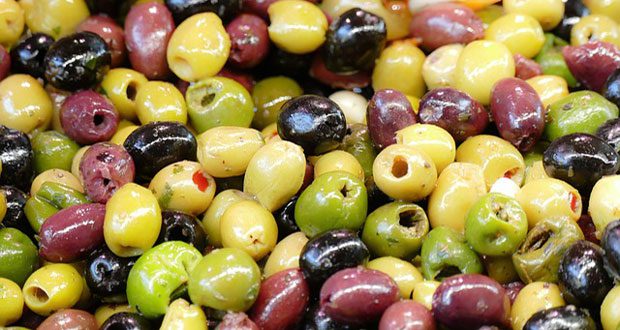 Oléiculture : Une récolte prolongée qui fragilise l’équilibre physiologique des oliviers